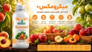 از زردی برگ تا ریزش گل؛ چه زمانی گیاه به کود تخصصی نیاز دارد؟